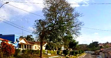 Casa espaçosa com 3 quartos, 1 banheiro e 234m² construídos, ocupada