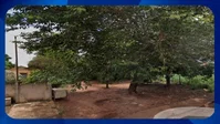 Terreno de 402m² em Ivinhema/MS