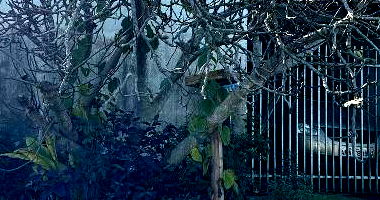 Casa com 2 Quartos em Araucária/PR