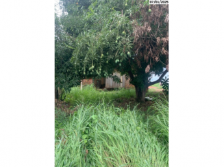 Terreno com casa de madeira em ruínas, 450m², desocupado