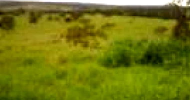 Imóvel Rural com 279,17 Hectares em Virgem da Lapa/MG