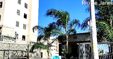 Apartamento 2 Quartos, 1 Vaga e 41,28 m² Privativos
