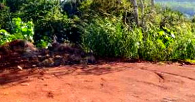 Terreno Urbano com 794,28m² em Dois Vizinhos-PR