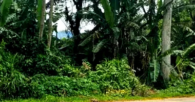 Dois terrenos urbanos em Guaramirim/SC - 26.841,60m²