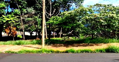 Terreno com área de 476m² na Rua Antônio Pereira Dias, Jardim Alvorada