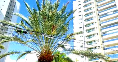Apartamento 601 no Edifício Santorini com 3 Vagas e 237,08m²