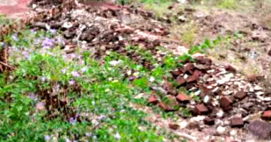 Imóvel com 495,74m² em São Carlos/SC