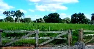 Área Rural em Cáceres/MT com 22,93ha