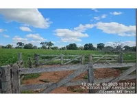 Área Rural em Cáceres/MT com 22,93ha
