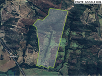 Fazenda c/ 151,5 hectares - Oportunidade