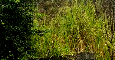 Terreno com 835,38m² em Indaial/SC