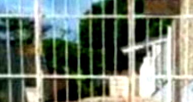 Casa em Passo Fundo com 50m²