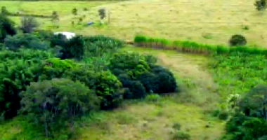 Imóvel Rural com 24 HA na Fazenda Mata Burros