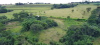 Imóvel Rural com 24 HA na Fazenda Mata Burros