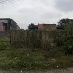 Terreno em Vila Formosa com 11m de frente e 36m de fundo