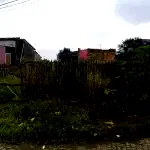 Terreno em Vila Formosa com 11m de frente e 36m de fundo