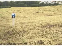 Terreno em Leilão com 239,75m² em Dracena/SP