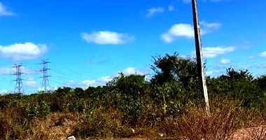 Terreno amplo de 800m² com ótima localização e potencial