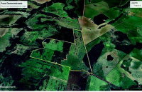 Fazenda JS com 181,46 Ha em Pedro Gomes - MS