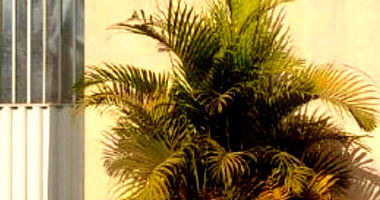 Casa com 2 quartos, 1 banheiro, 54m² construídos, ocupada