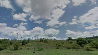 Área de Terras com Benfeitorias em Branquinha/AL