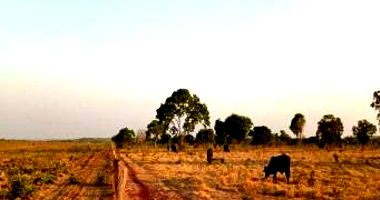 Fazenda com 144,57ha em Dois Irmãos do Tocantins