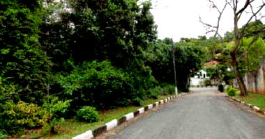 Terreno amplo no Jardim Algarve com 1.200m²