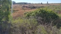 Terrenos na BR-293, Candiota/RS - Lotes 02, 03, 04 e 05