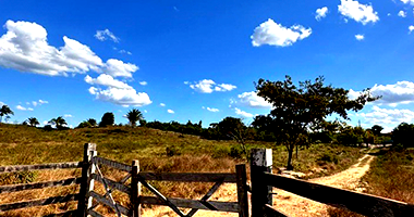 Terreno em Rondon do Pará - PA