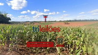 Imóvel Rural com 29,66ha em Carmo de Minas/MG