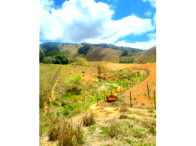 Sítio com 24,20 hectares em Ipanema/MG