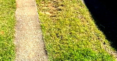 Vaga de Estacionamento Exclusiva em Palhoça