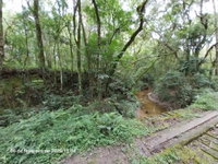 Terreno rural 20.227m² em Lapa/PR - Lote 1