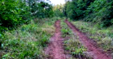 Terreno Rural com 146.325,86m² em Cordilheira Alta/SC