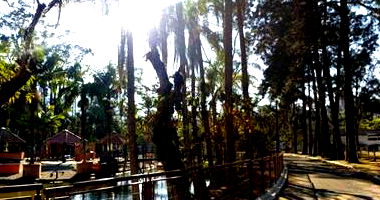 Área Pública com 3.000m², Poços de Caldas/MG