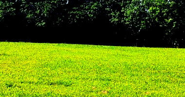 Terreno rural amplo com 2.957,88m² em condomínio fechado