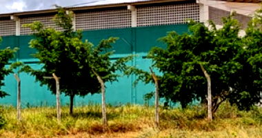Galpão Comercial em Pesqueira com Área de 1,89 ha