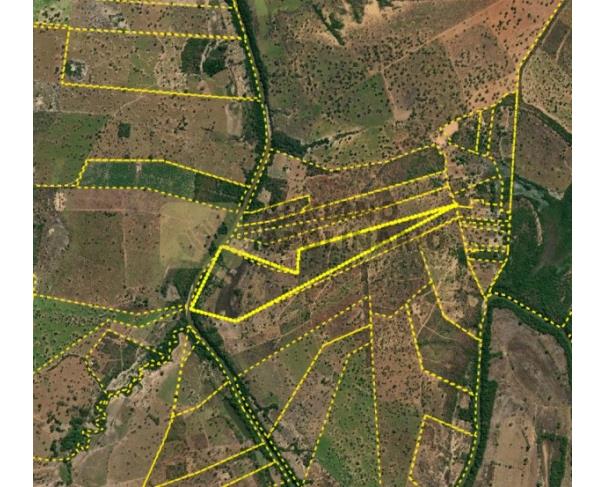 Fazenda com Casa e Benfeitorias em Lagoa dos Patos - MG
