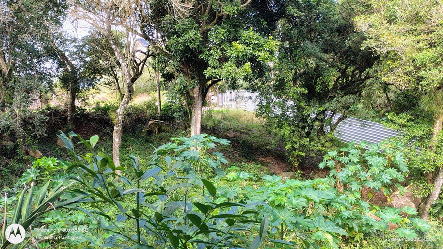 Terreno Residencial 403m² em Porto Alegre/RS