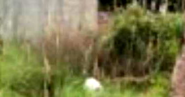 Terreno em Feira de Santana - Lote 40, Quadra M