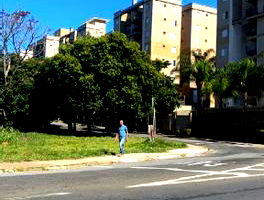 Apartamento com 2 quartos e 1 banheiro em Campinas