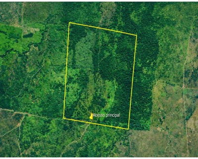 Fazenda 247 ha com 250ha47a02ca em São Félix do Xingu - PA