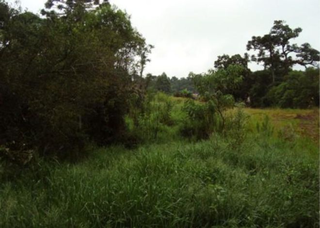 Terreno de 5.808 m² em Ortigueira, sem benfeitorias