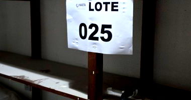 Lote 025 - Móveis em Madeira