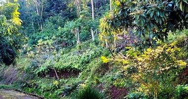 Lote Urbano com 1014m² em Mondaí/SC