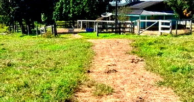 Propriedade Rural com 38,68 HA e Benfeitorias