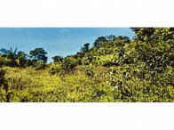 Sítio com 62 hectares em Montes Claros de Goiás