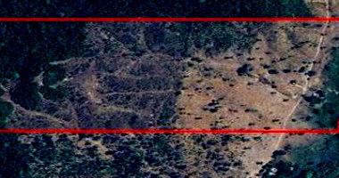 Fazenda 32 ha em Muricilândia-TO, Zona Rural, Ocupada