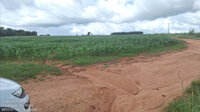 Imóvel Rural de 24,20 ha com Matrícula 3.441