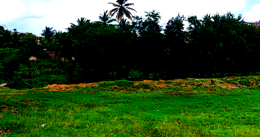 Terreno Amplo em Timbaúba com 4.180m²